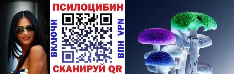 Купить где  Андреаполь  Псилоцибиновые грибы Psilocybe 